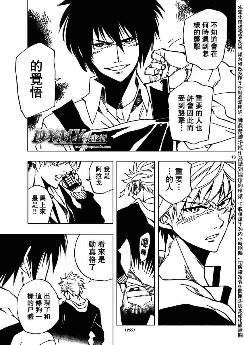 第13页