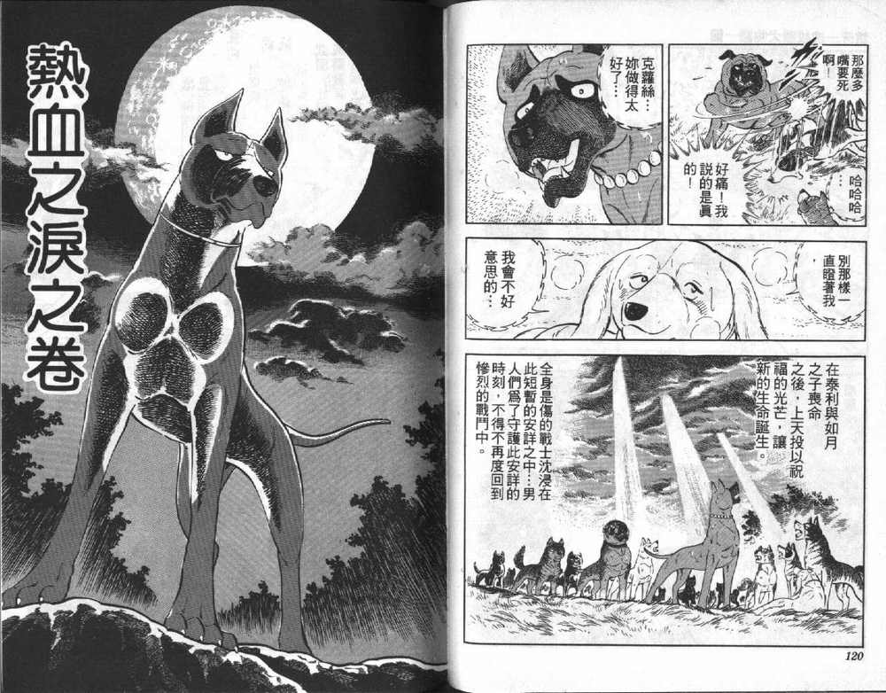 第61页