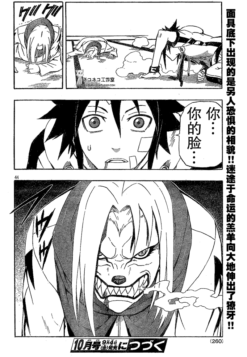 第41页