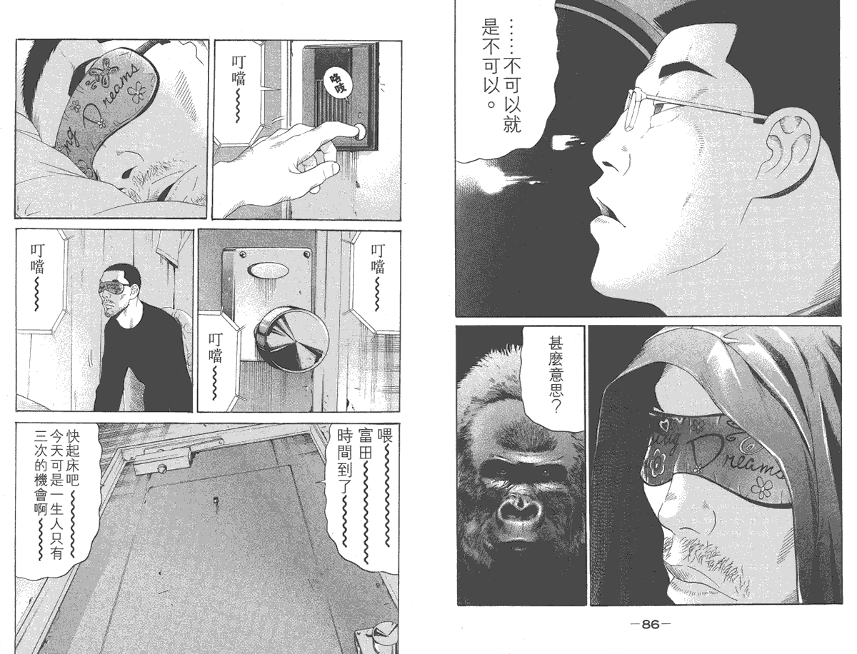 第43页