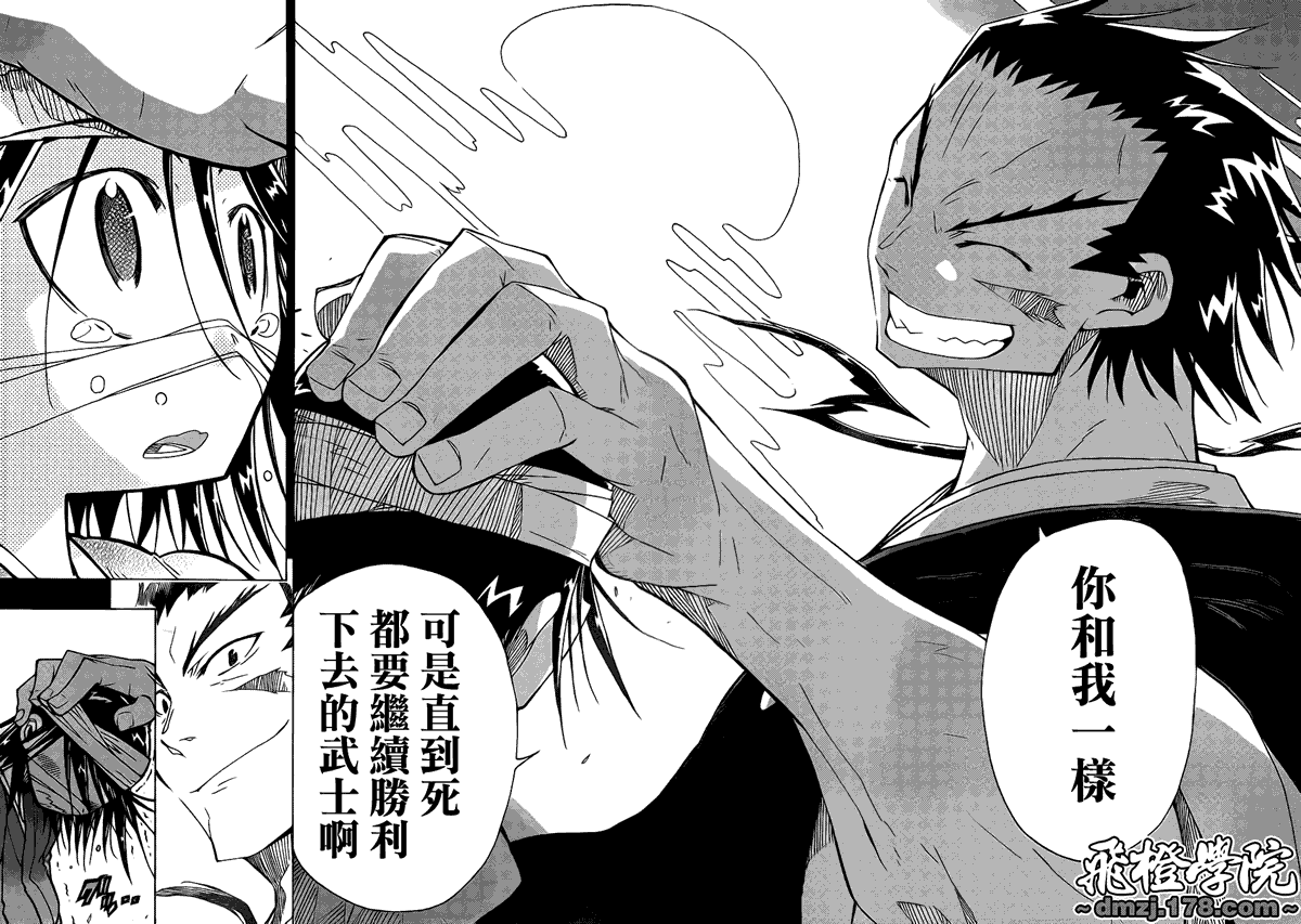 第43页