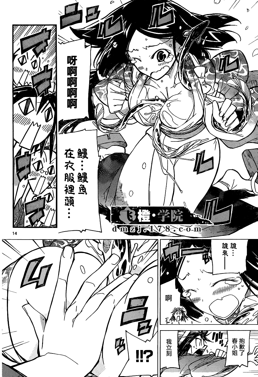 第14页