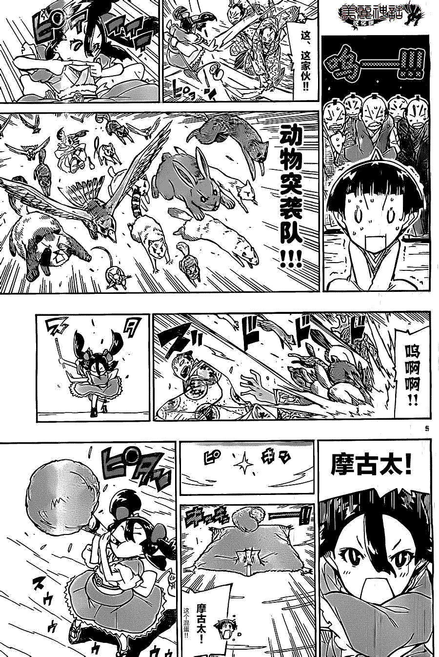 第5页