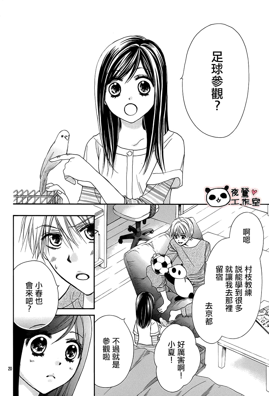 第20页