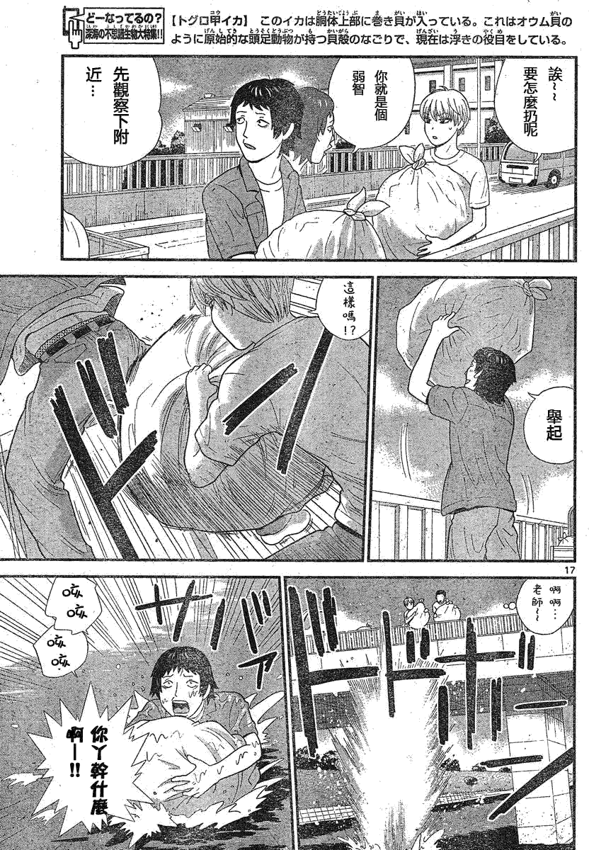 第17页