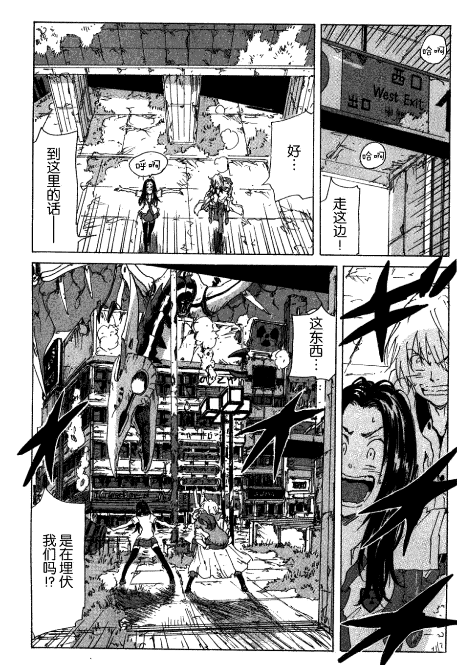 第12页