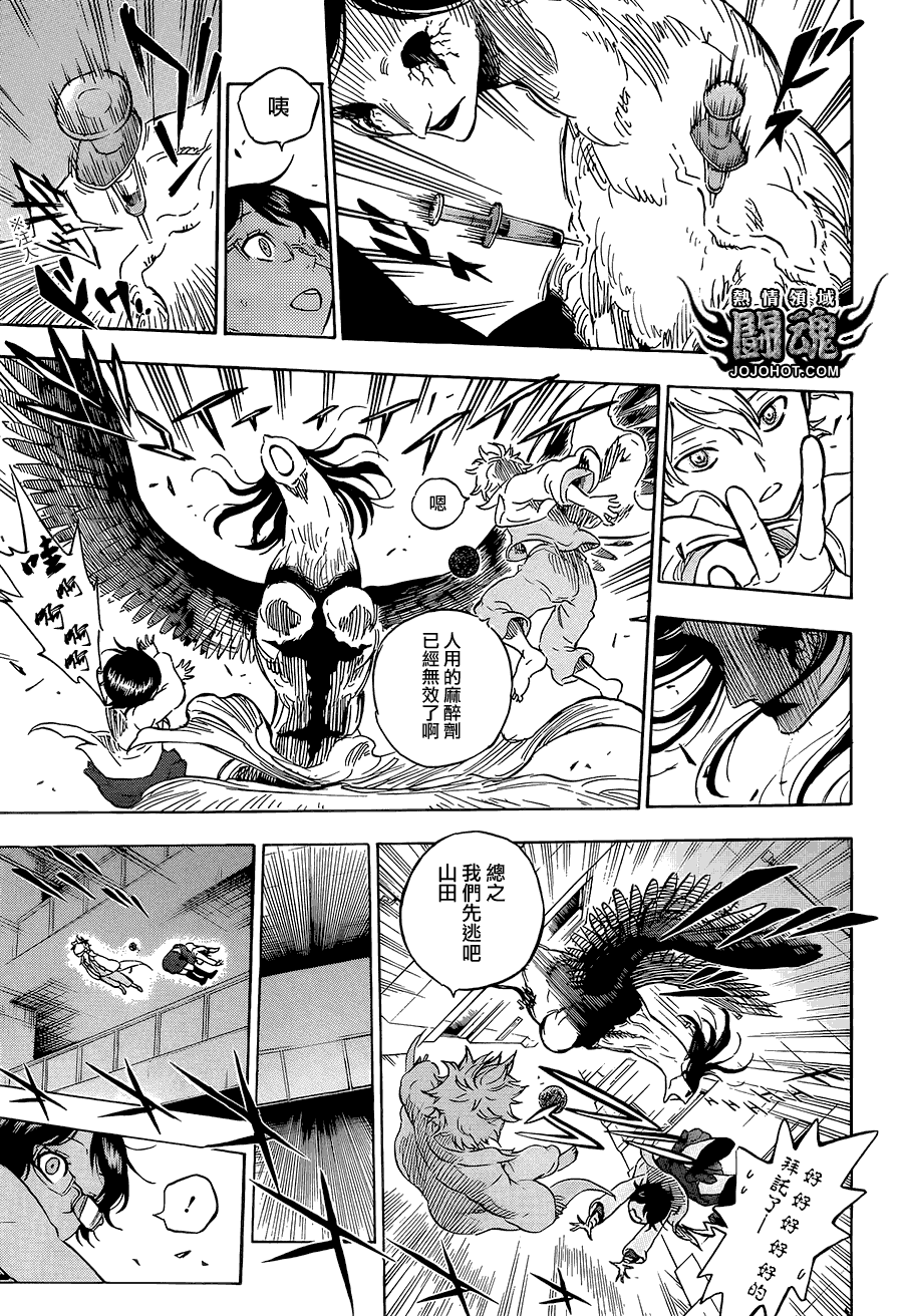 第13页