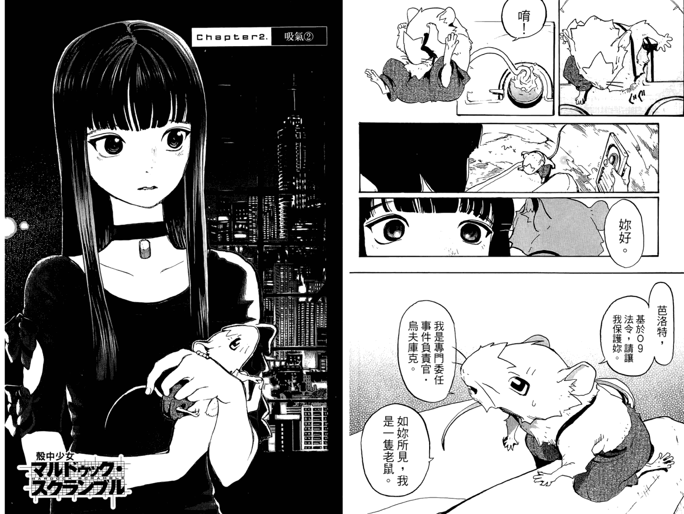 第40页