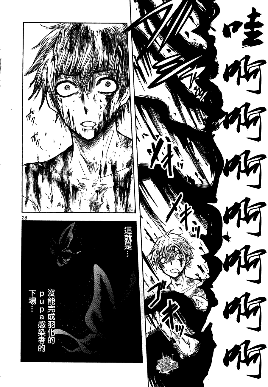第28页