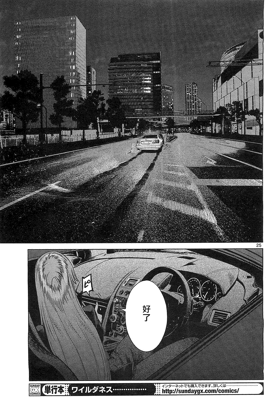 第25页