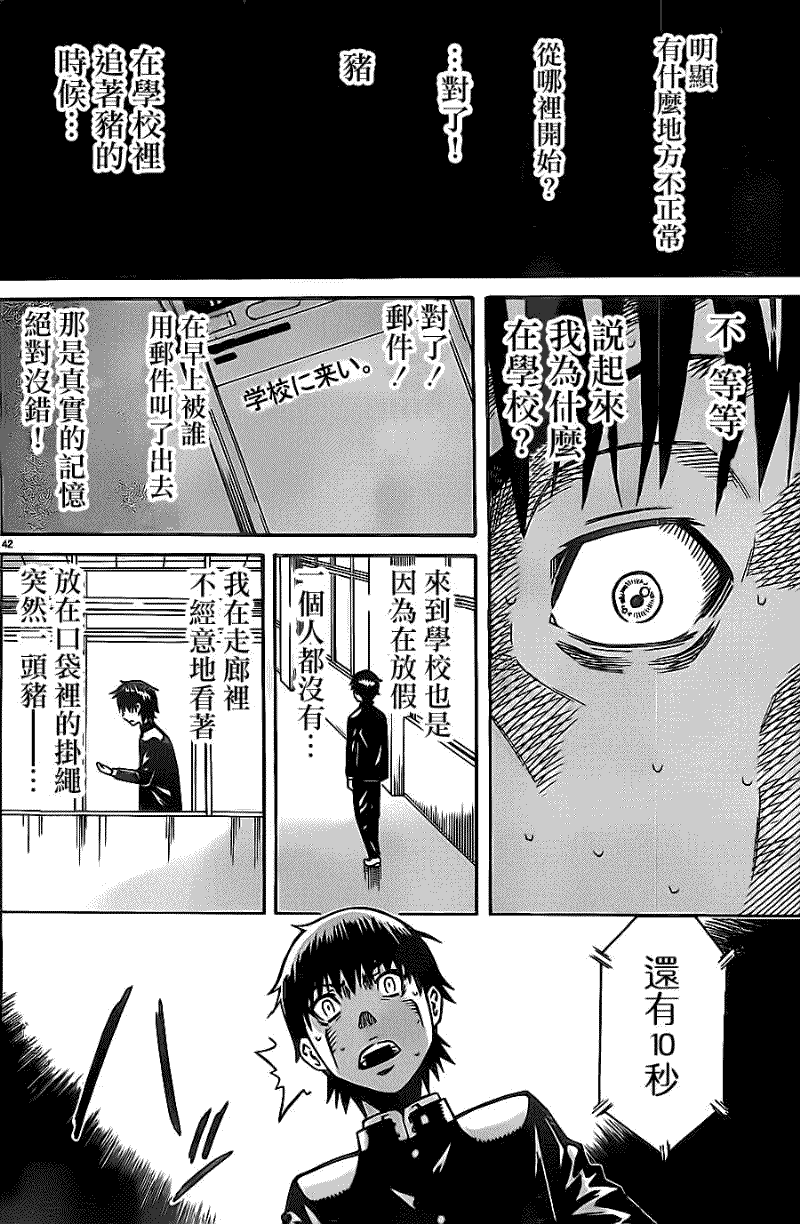第42页