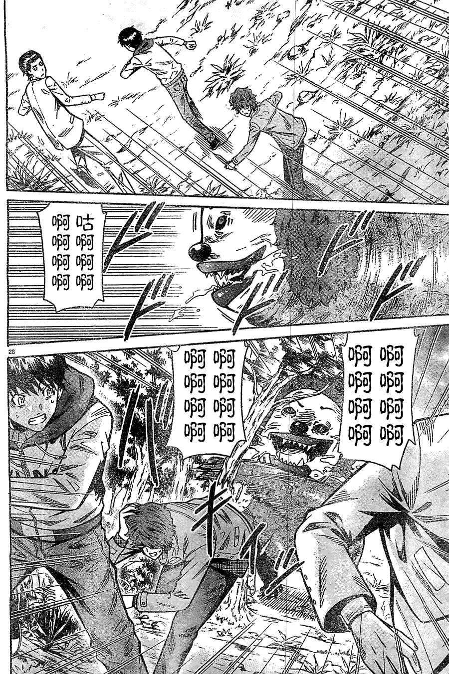 第29页