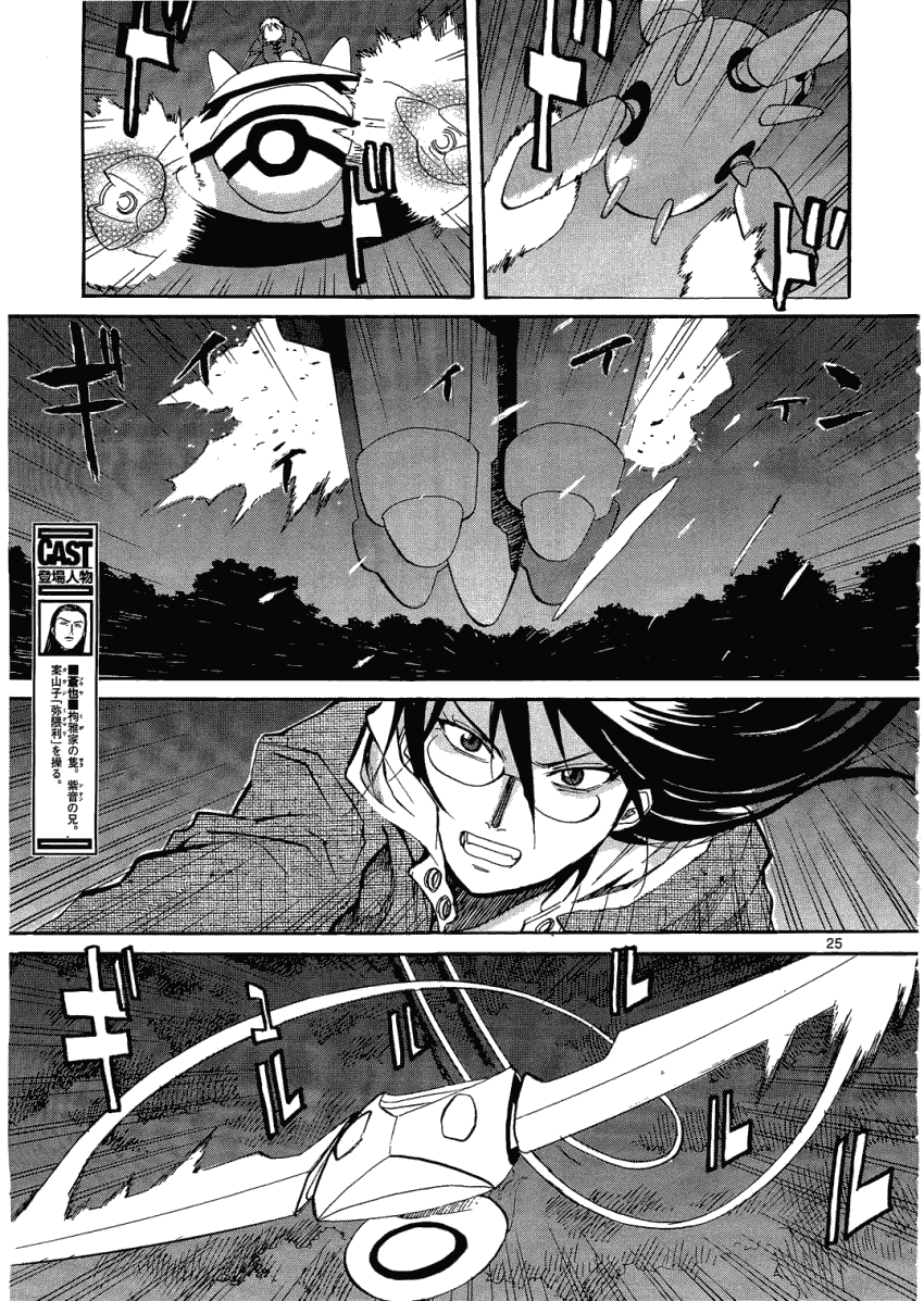 第25页