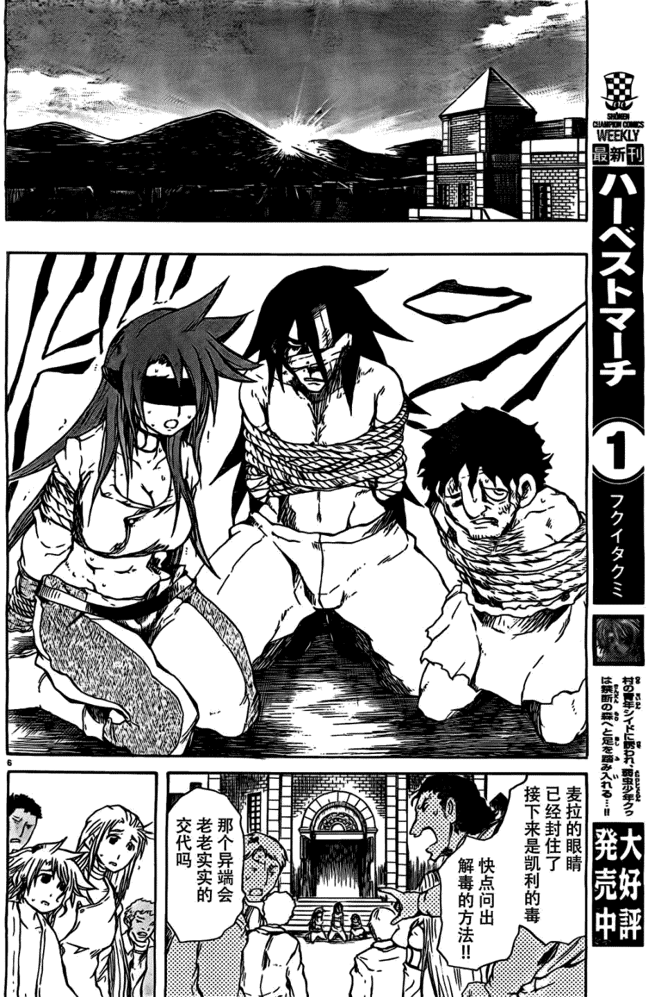 第6页