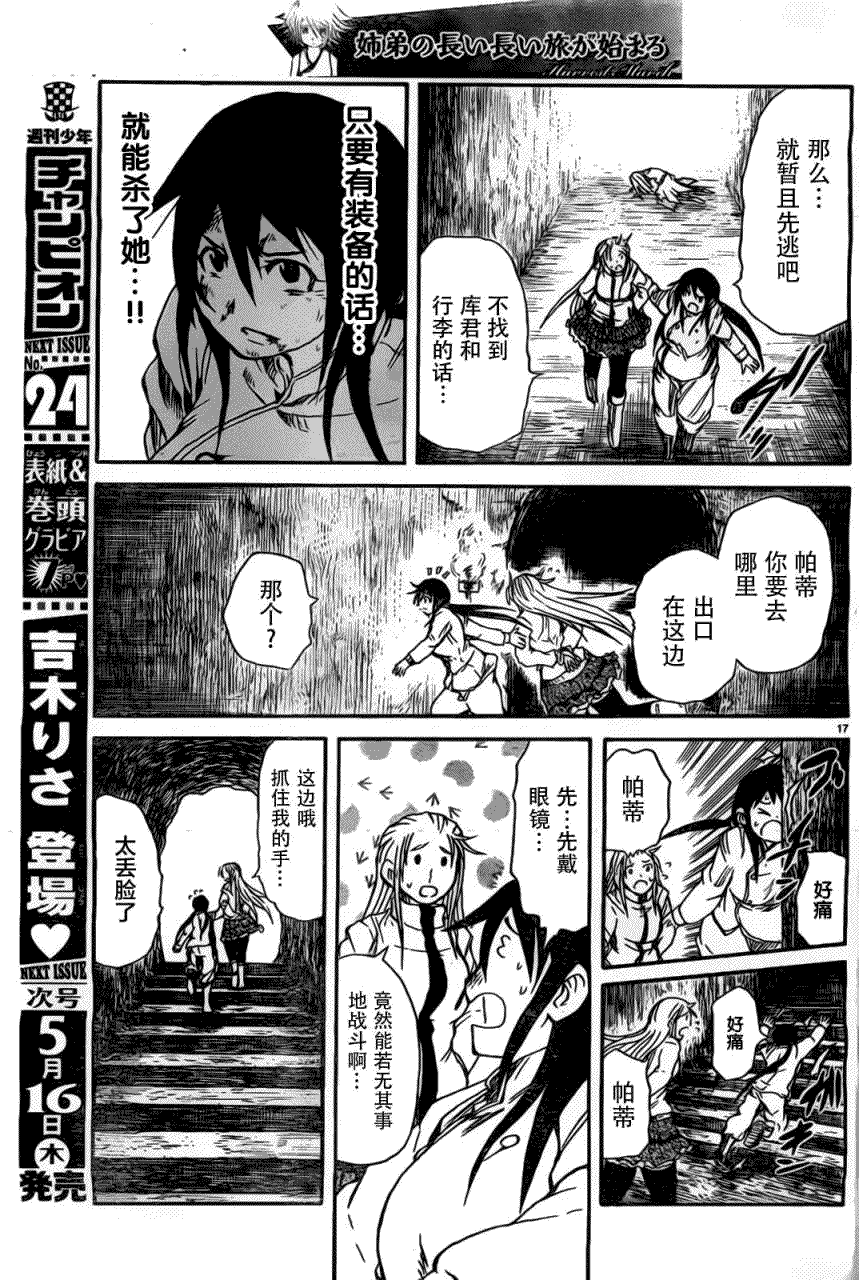第17页